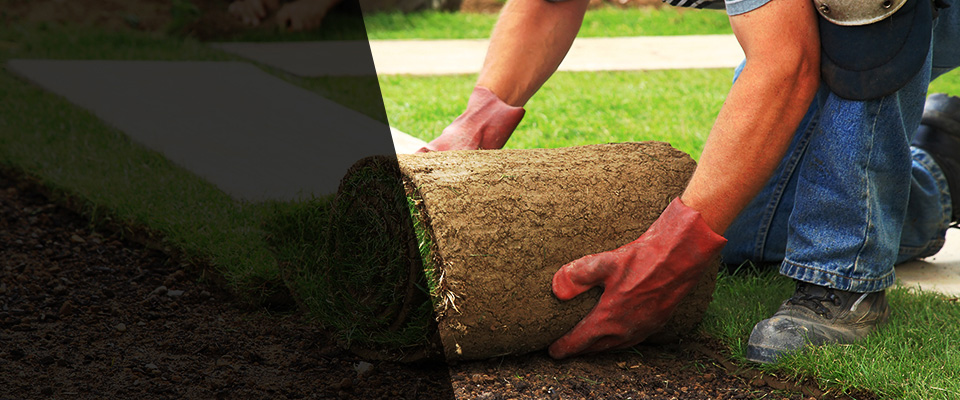 Gainesville Landscapers